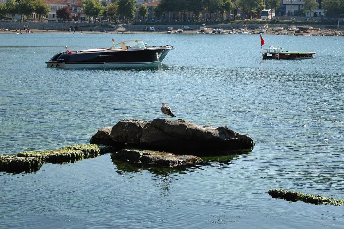Amasra
