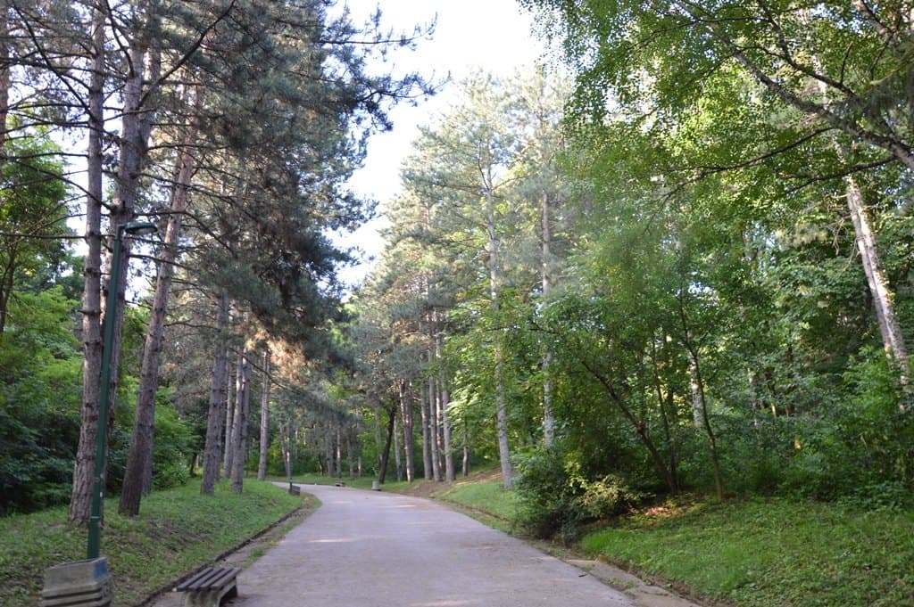 Bubanj, i tre pugni — foto 2