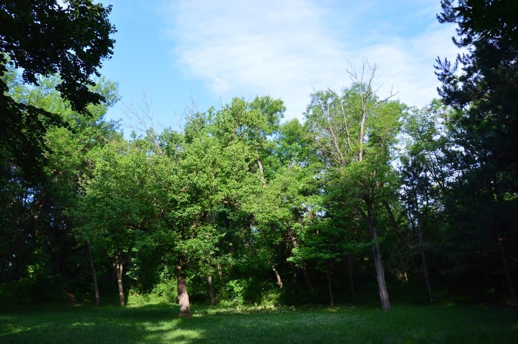Bubanj, i tre pugni — foto 3