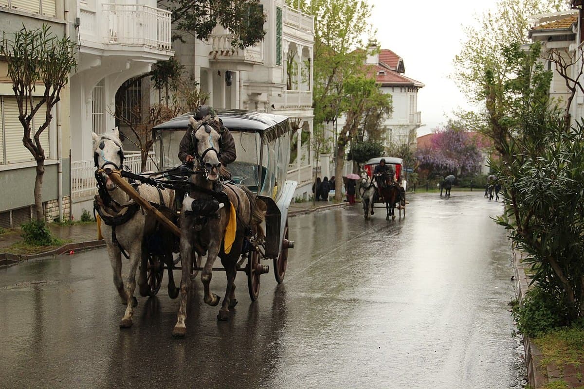 Büyükada — foto 2
