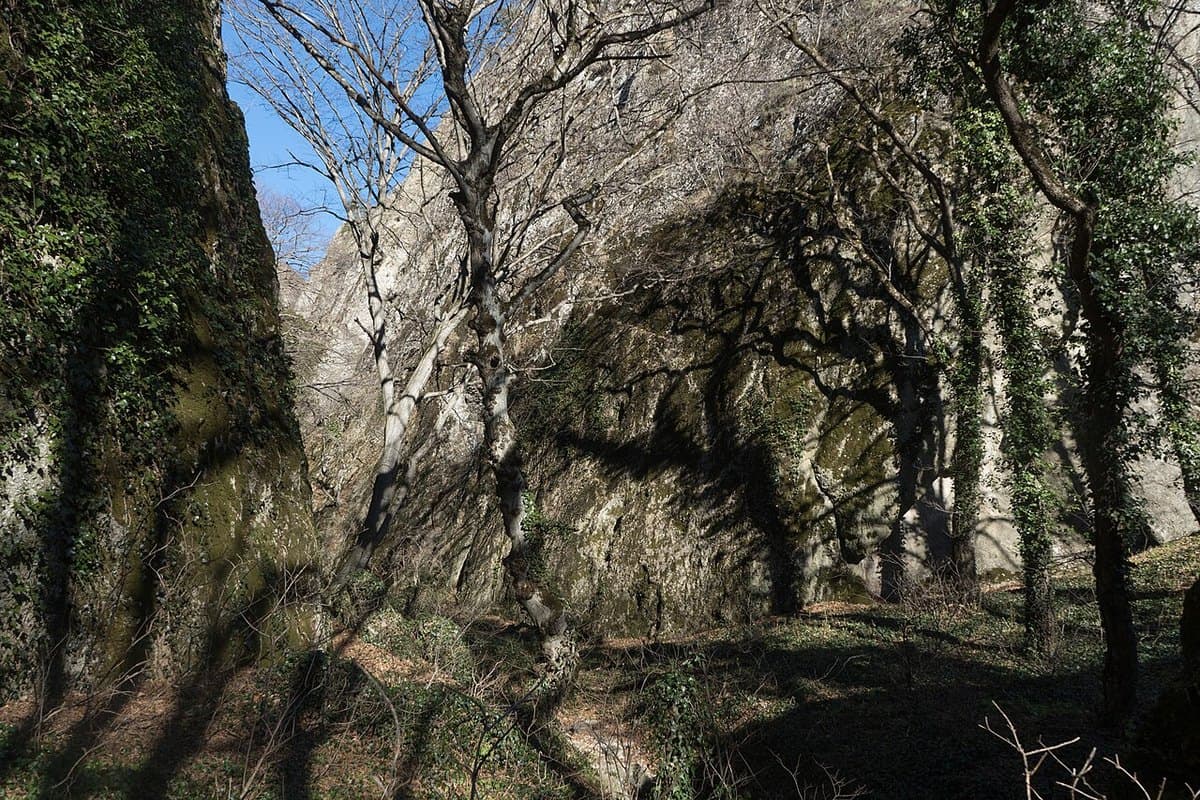 Canyon di Birtvisi — foto 2