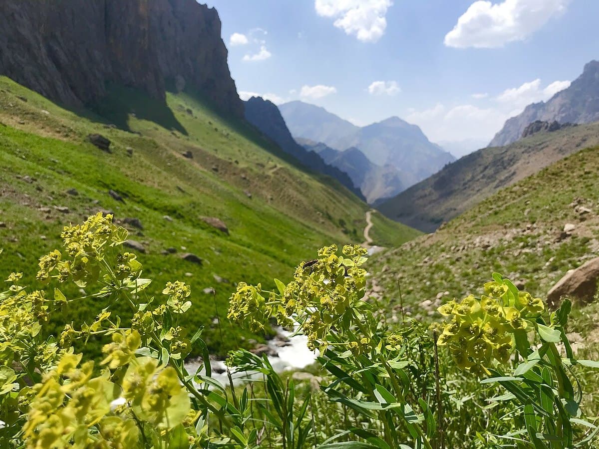 Cennet e Cehennem — foto 2