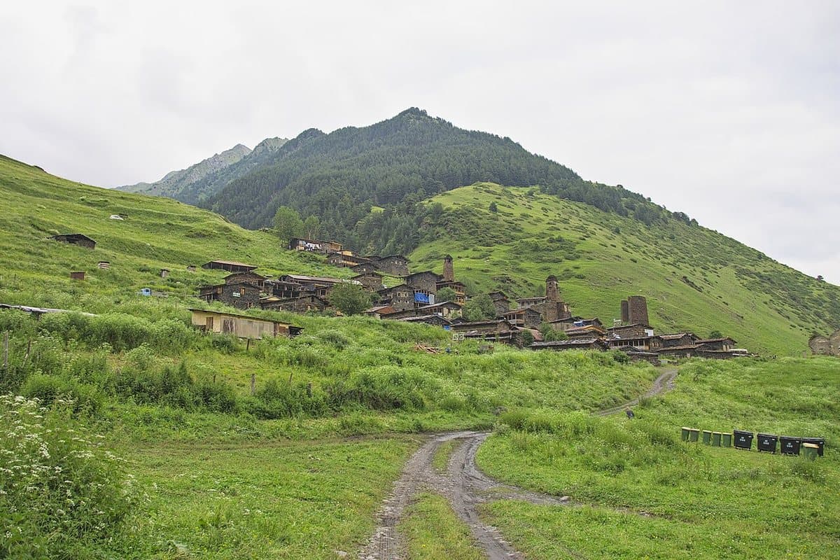Dartlo