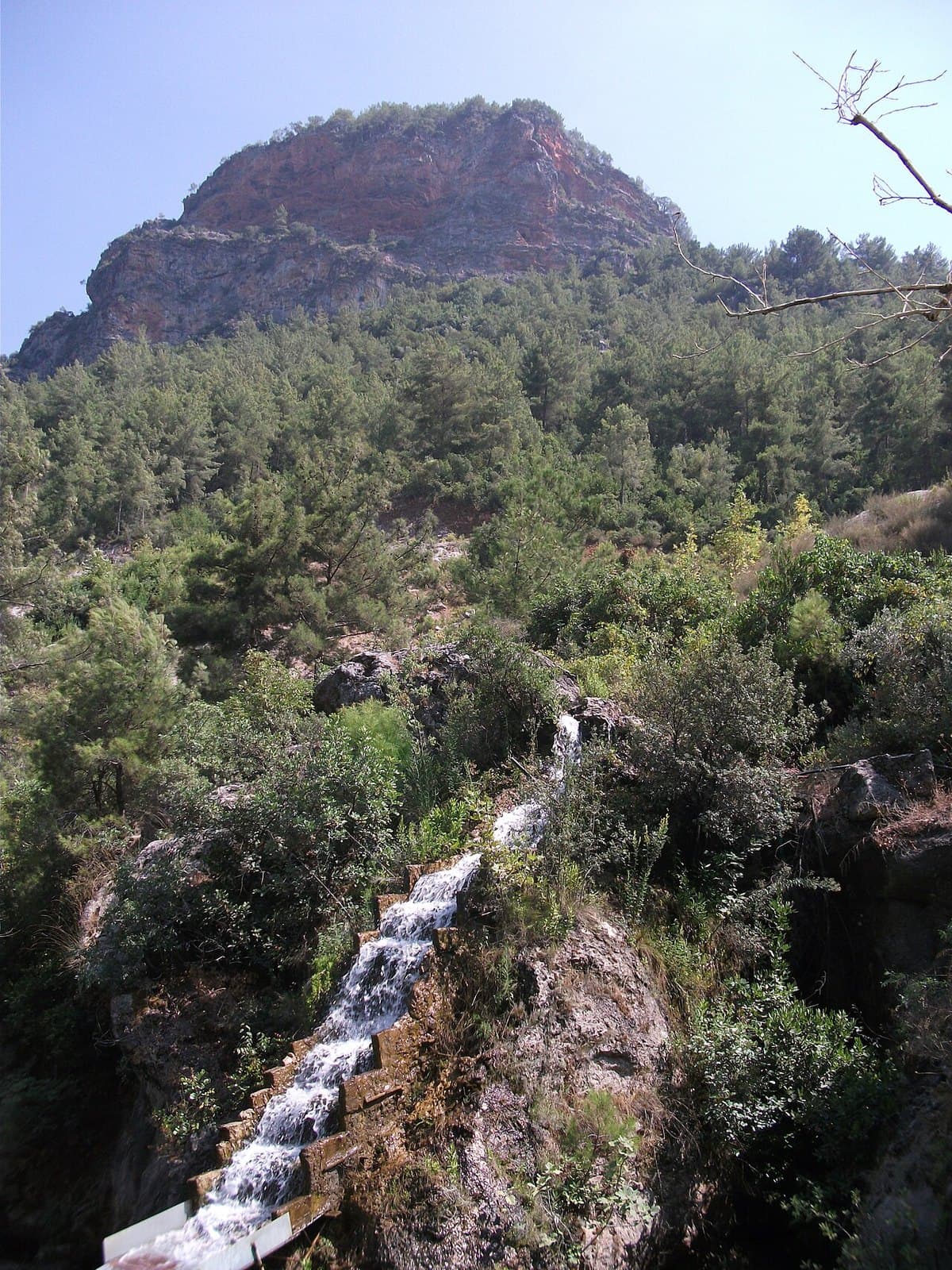 Dim Çayı — foto 3
