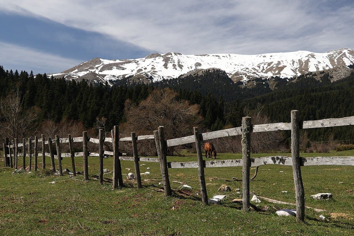 Elati e Pertouli