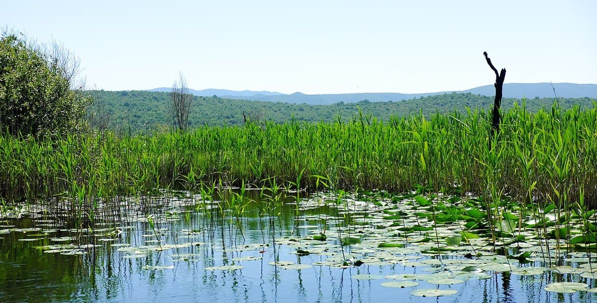 Hutovo Blato — foto 3