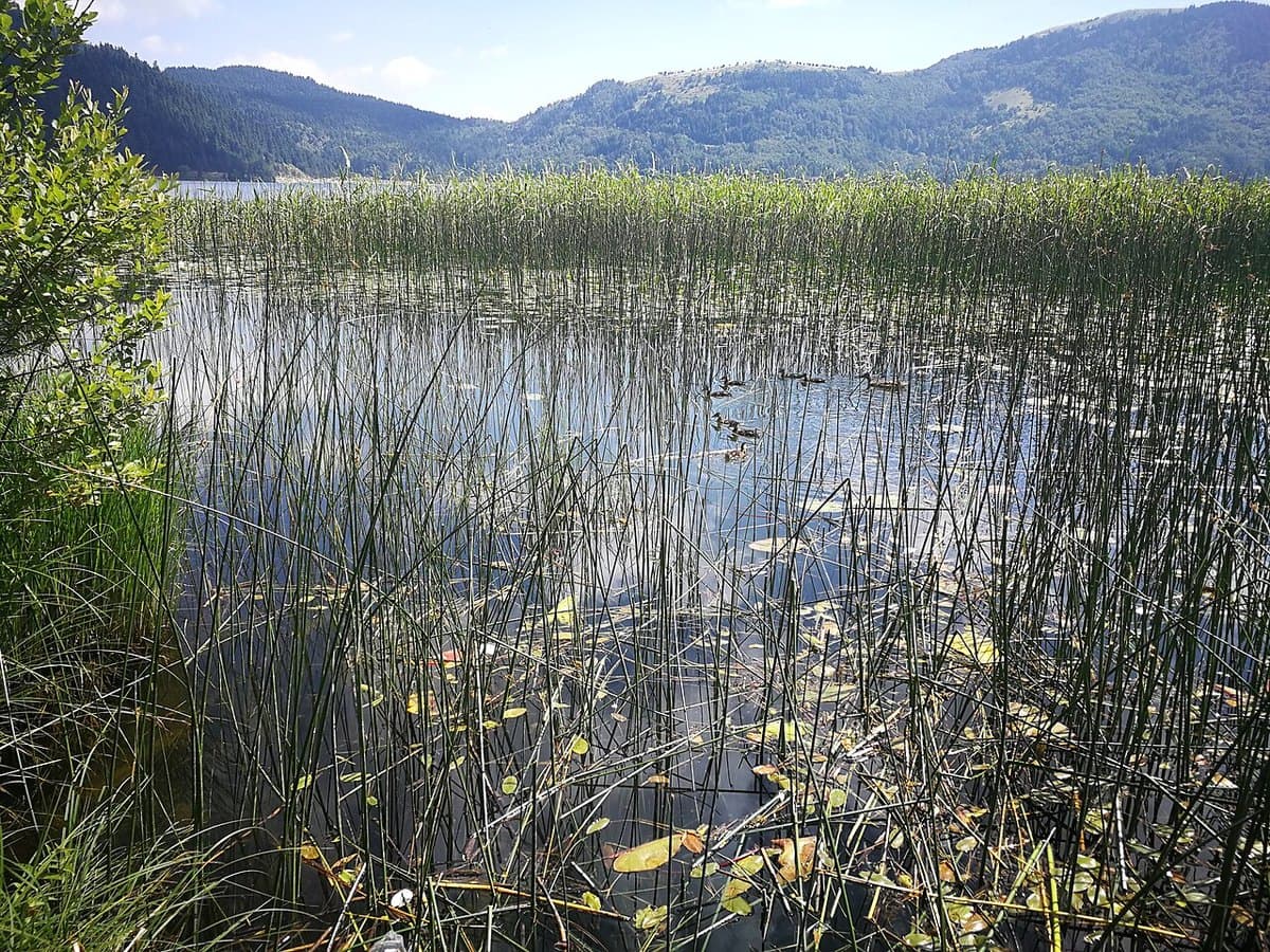 Lago di Abant