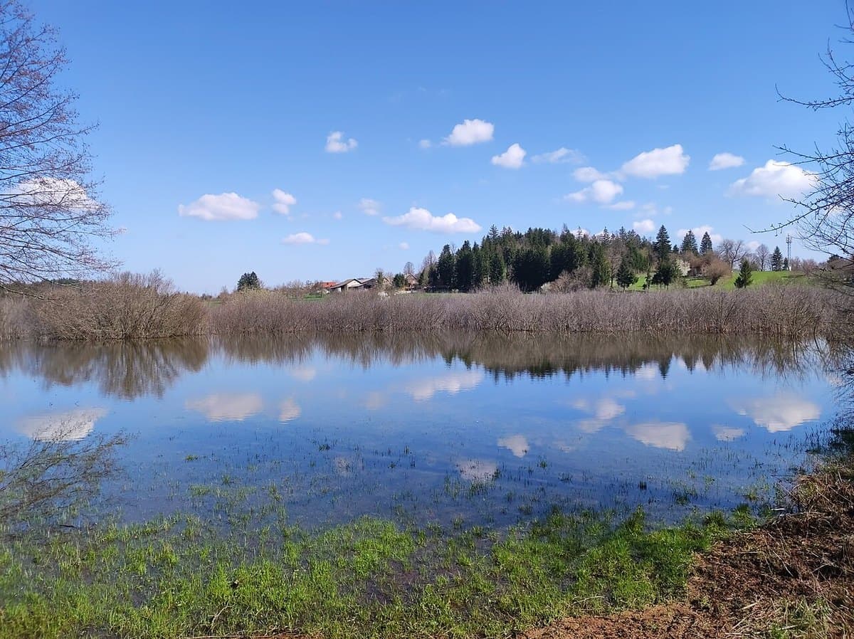 Lago di Cerknica — foto 2