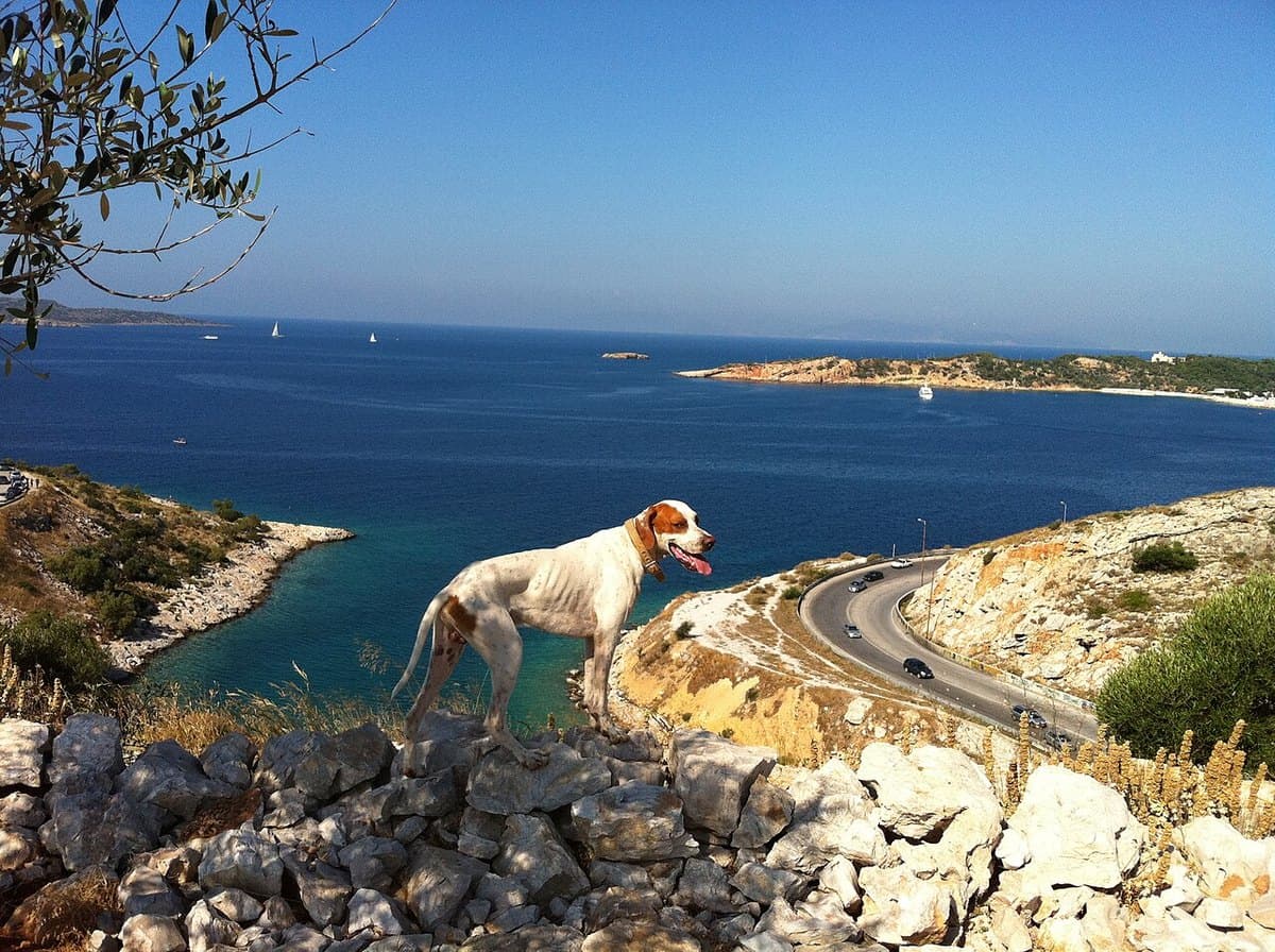 Lago Vouliagmeni — foto 3
