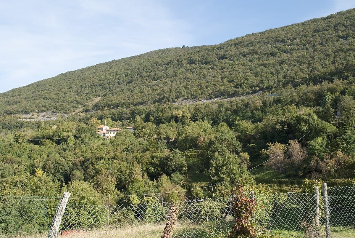 Monte Sabotino