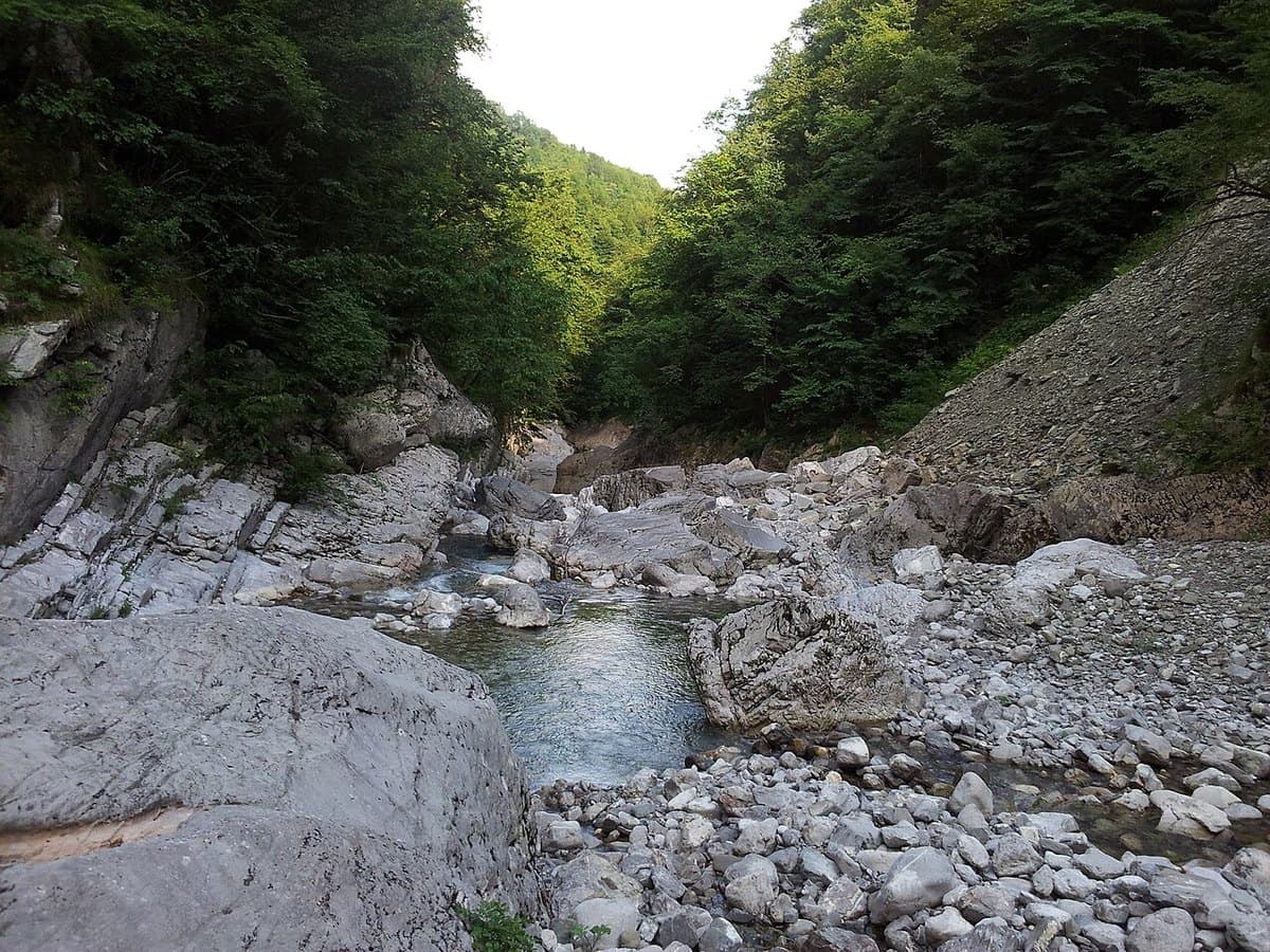 Nadiža al ponte Napoleone — foto 3