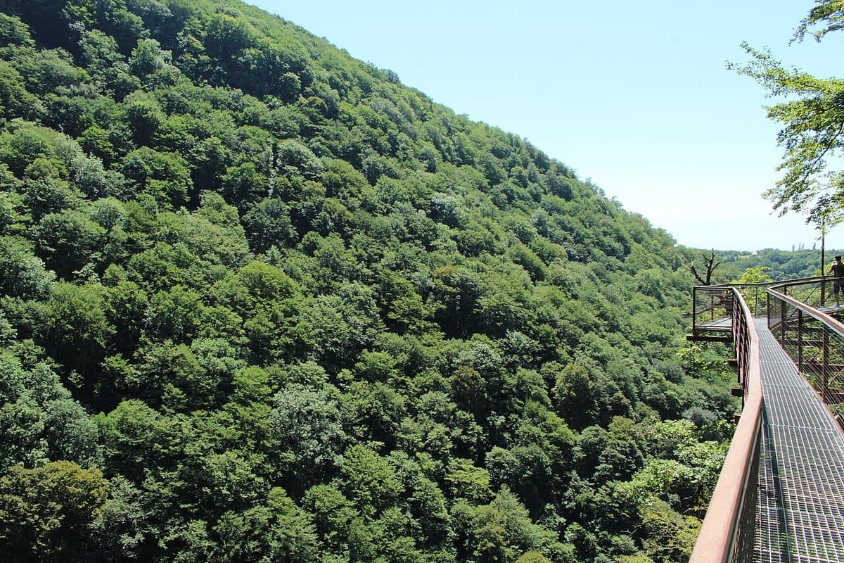 Canyon di Okatse
