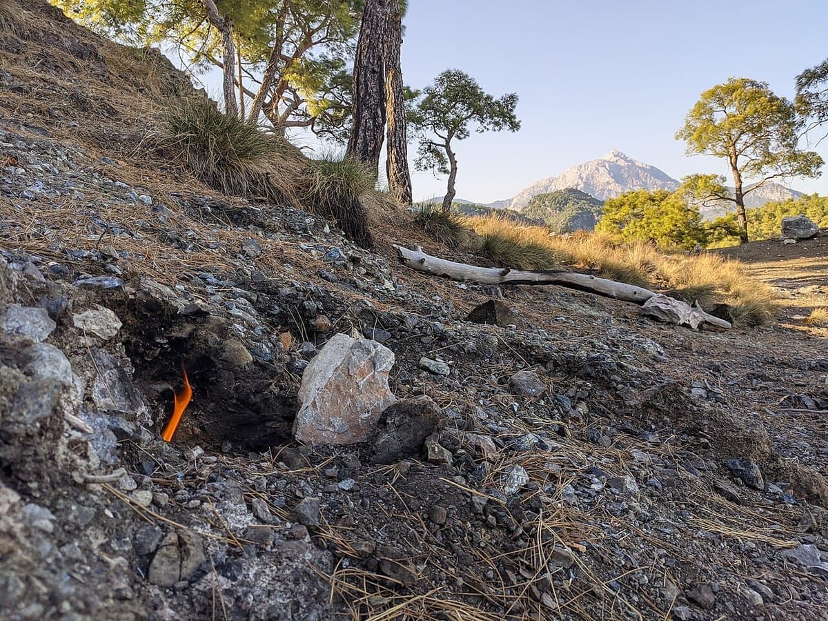 Olympos e la Chimera — foto 2
