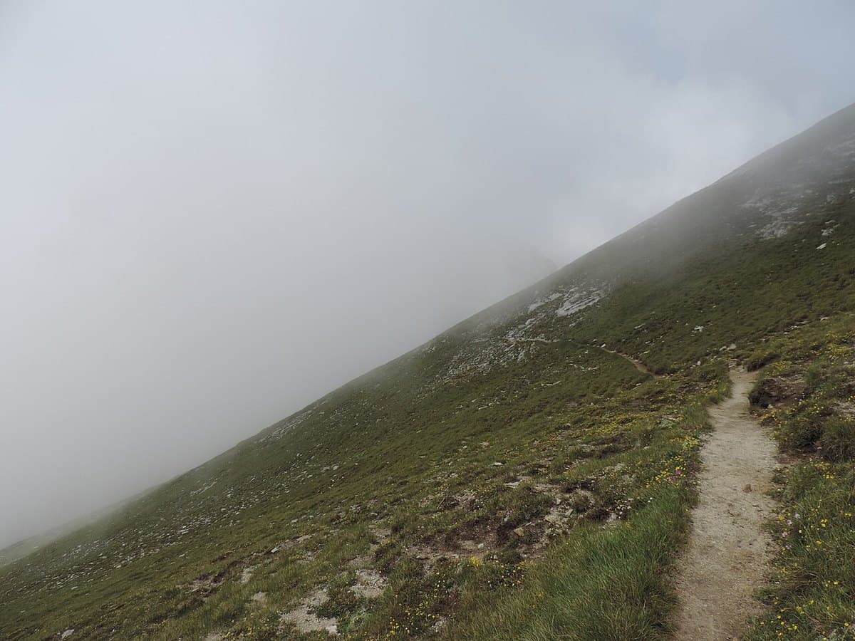 Parco del Pirin — foto 2