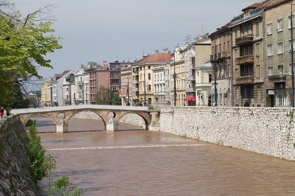 Ponte Latino