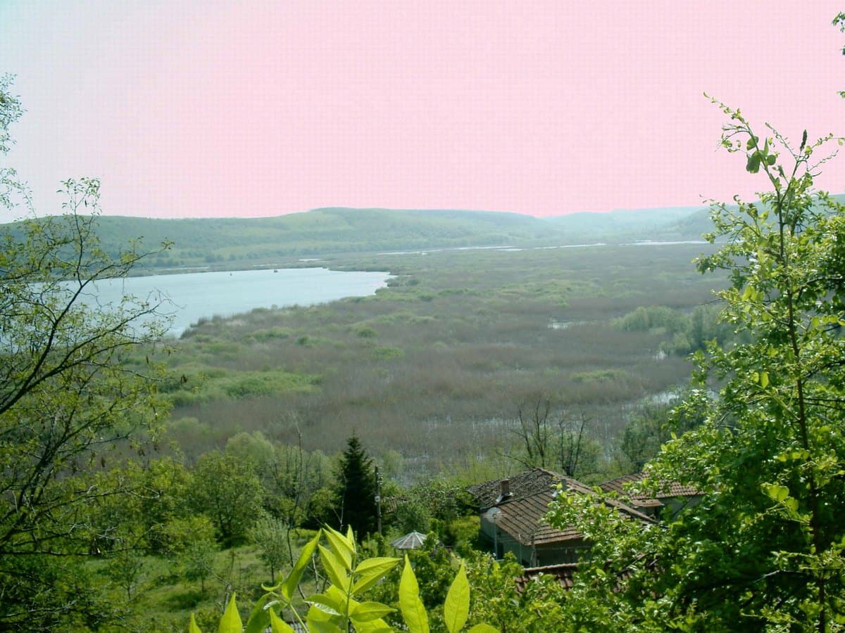 Riserva di Srebarna
