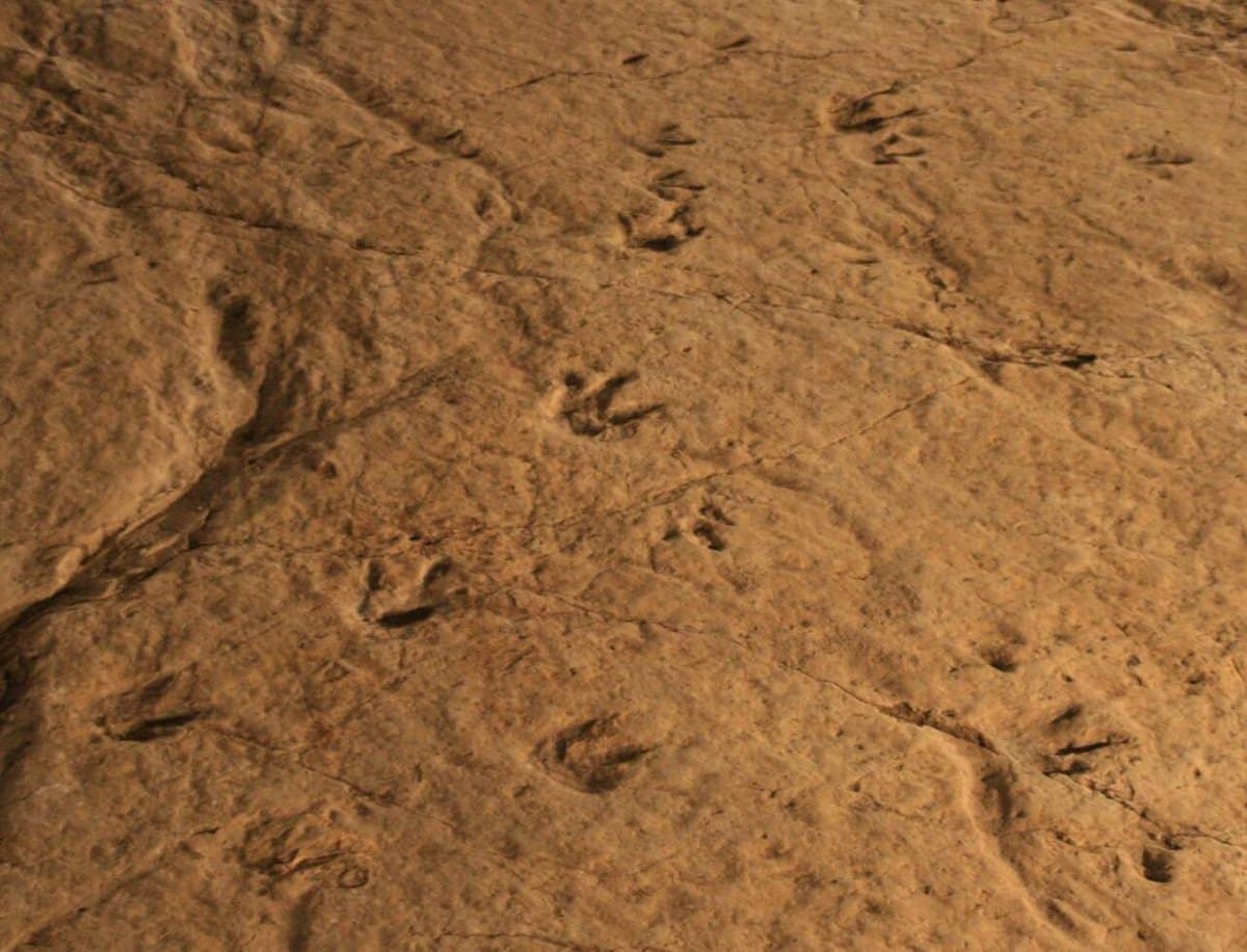 Sataplia
