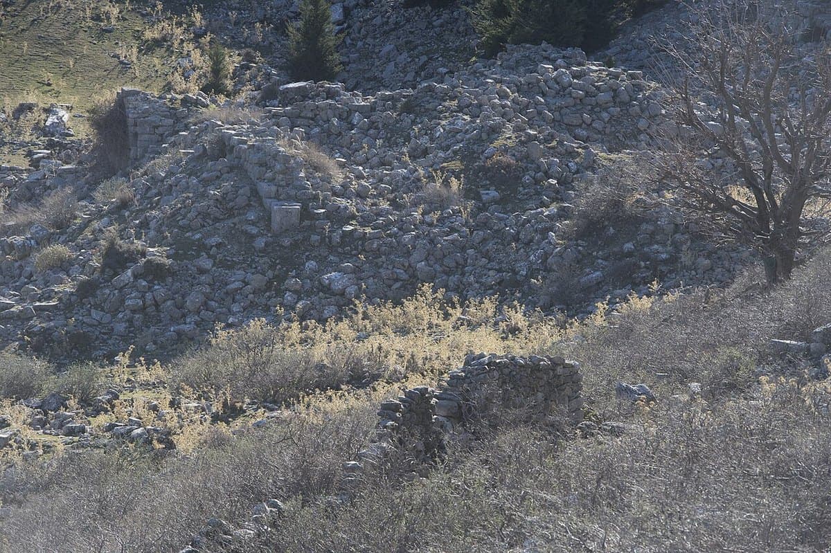Selge — foto 2