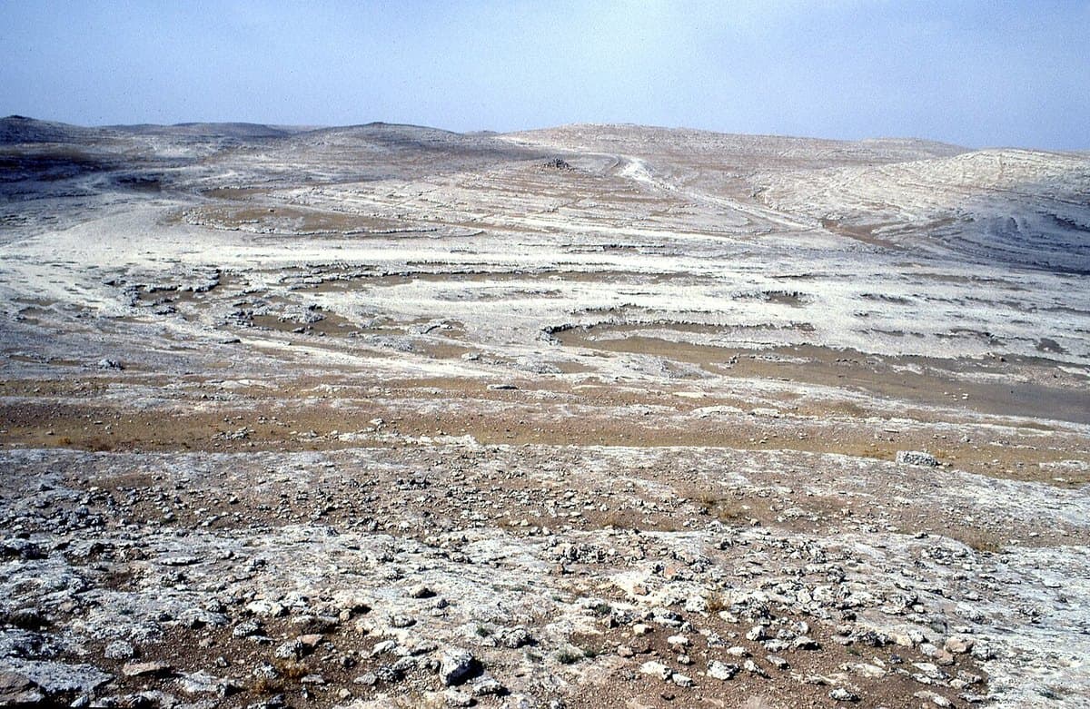 Soğmatar