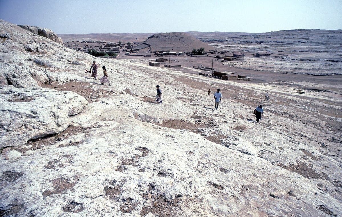 Soğmatar — foto 2