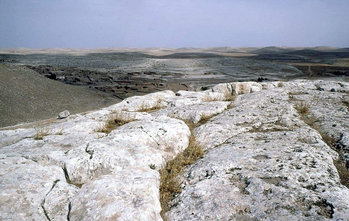Soğmatar — foto 3