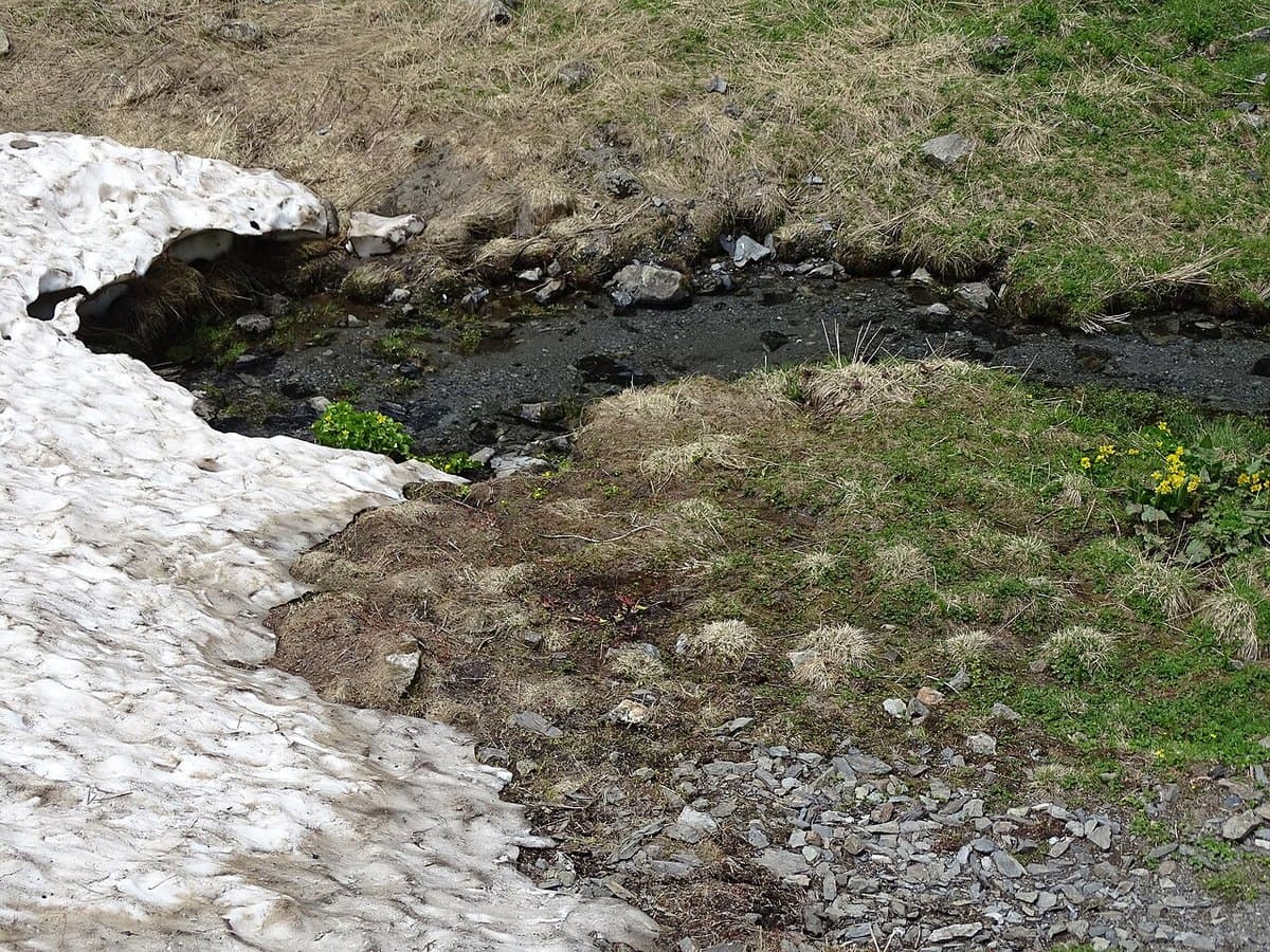 Valle di Juta