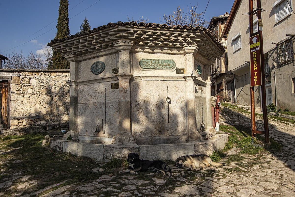 Yörük Köyü