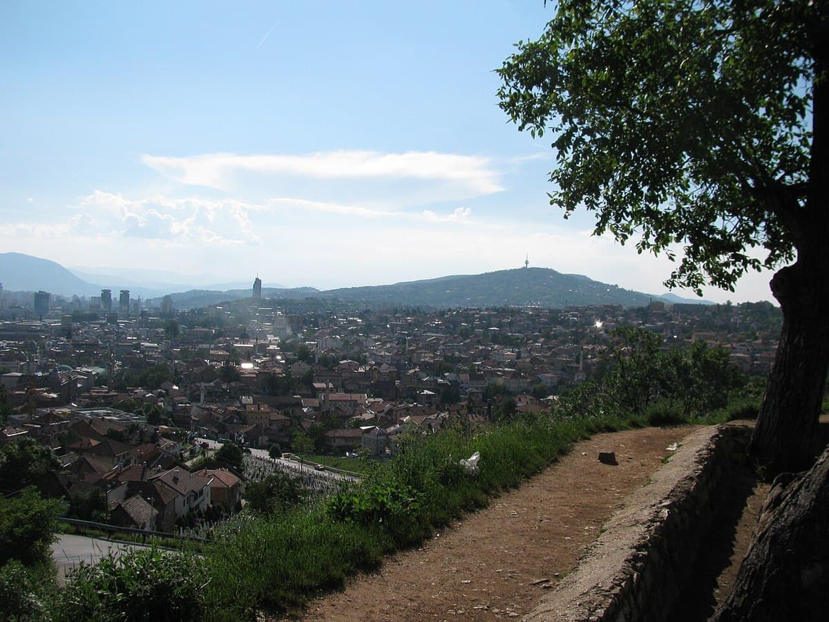 Žuta tabija