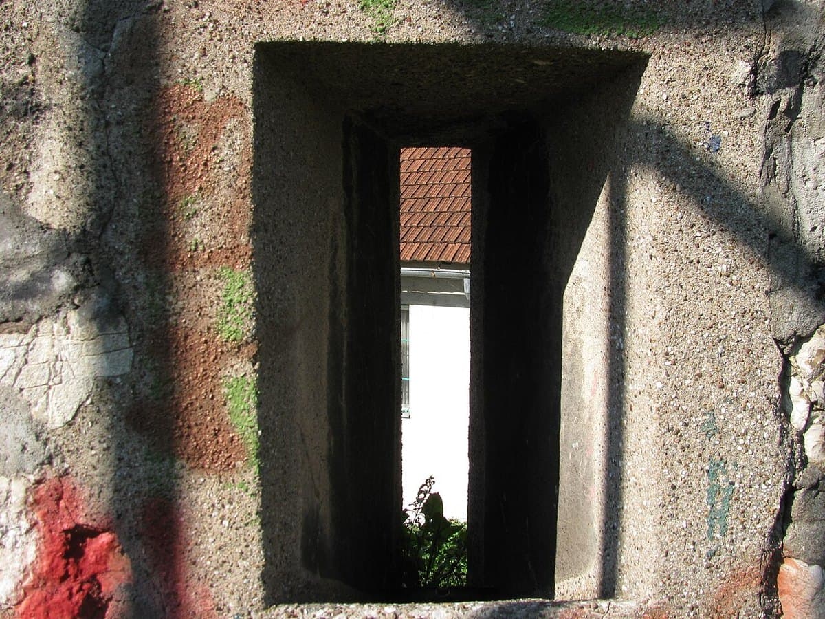 Žuta tabija — foto 3