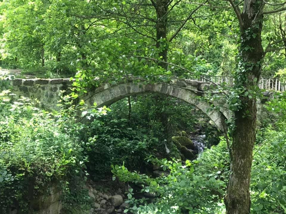 Cascata e ponte di Mirveti — foto 2