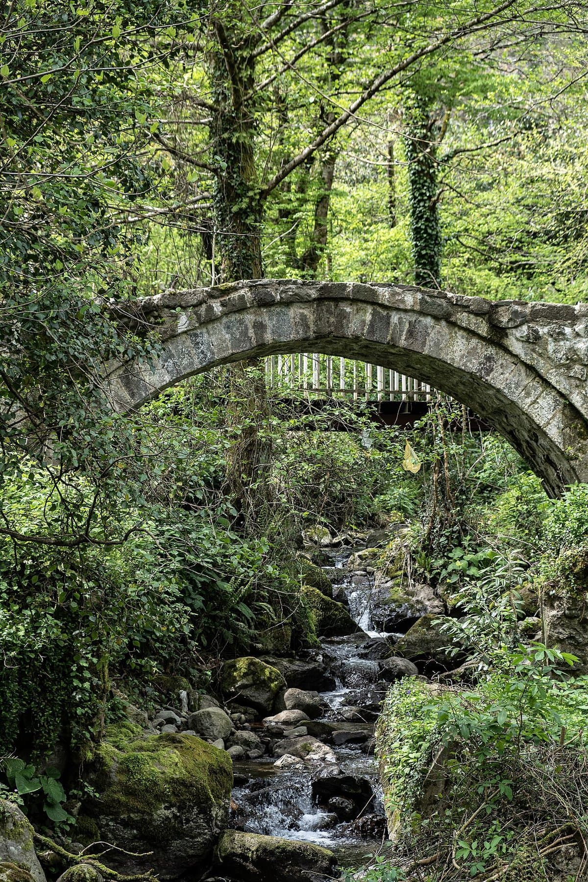 Cascata e ponte di Mirveti — foto 3