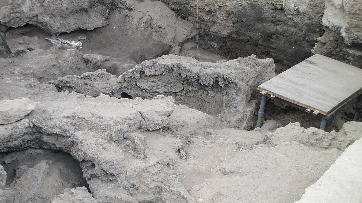 Dmanisi — foto 3