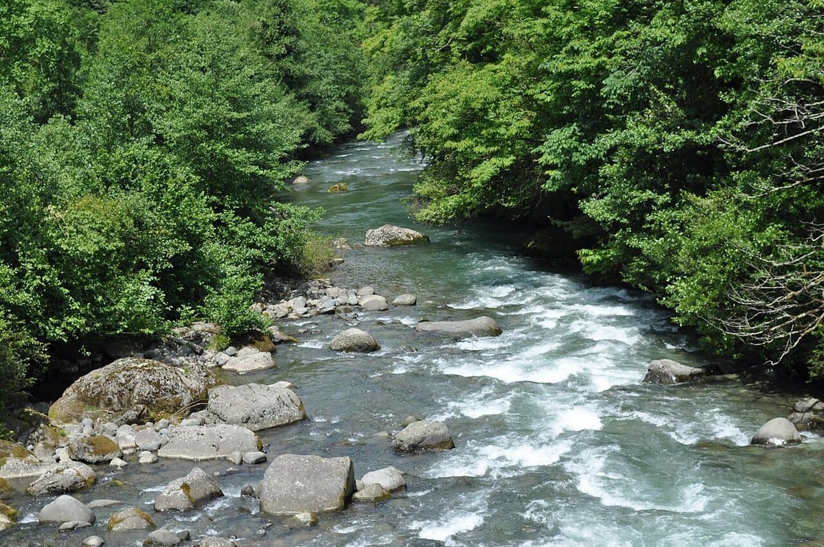 Kintrishi — foto 3