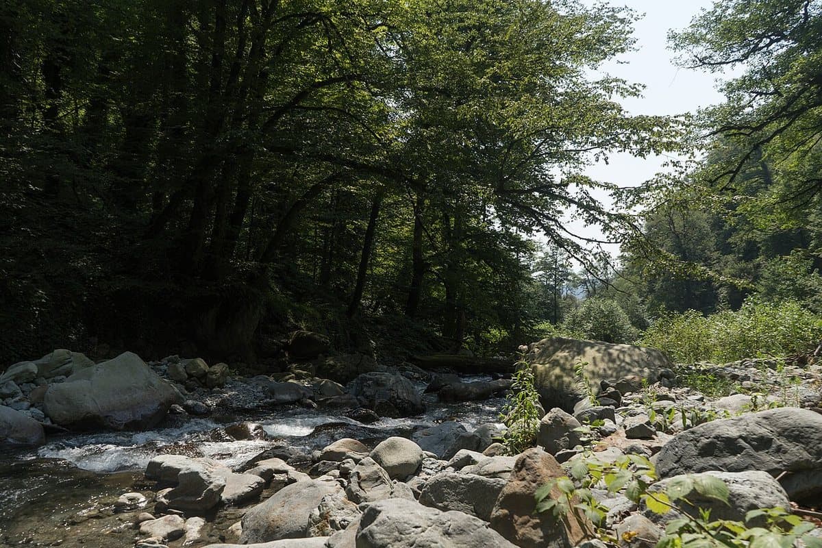 Lagodekhi e la cascata di Ninoskhevi — foto 2