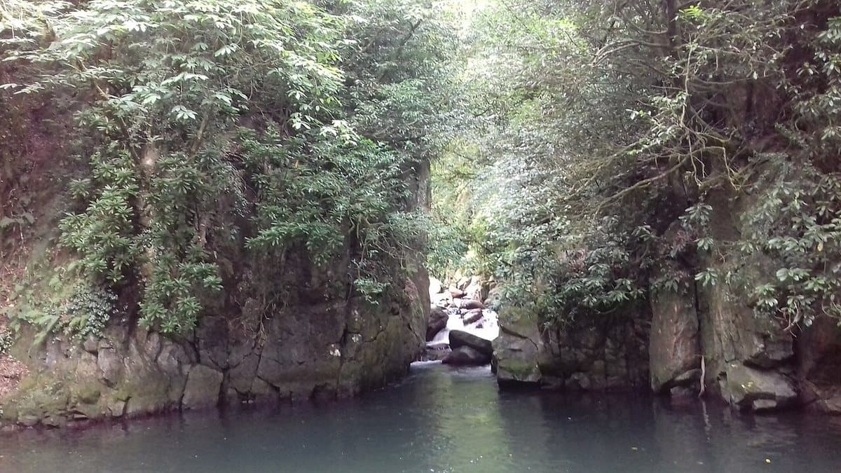 Parco nazionale di Mtirala — foto 2