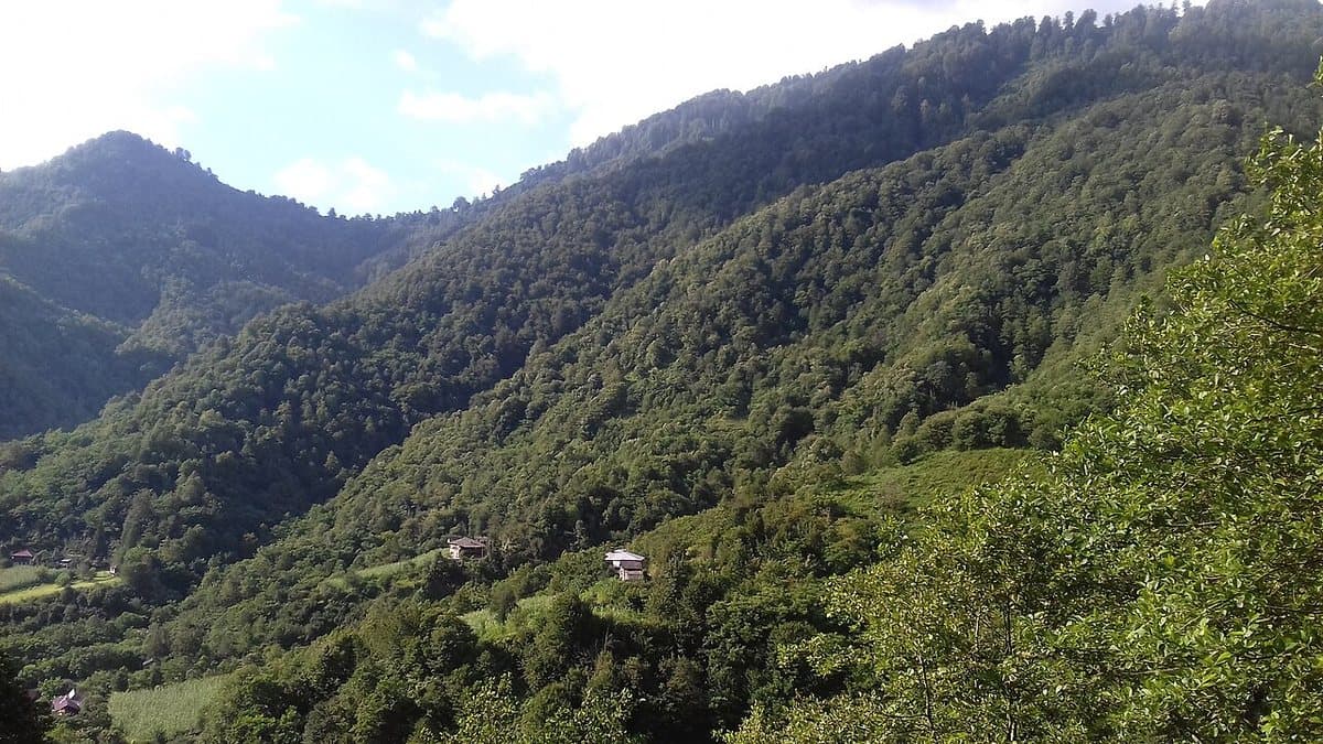 Parco nazionale di Mtirala — foto 3